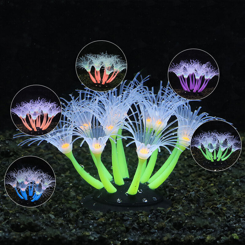 Decoração Subaquática para Aqu - Aquarium Plants Live avaliação e preço