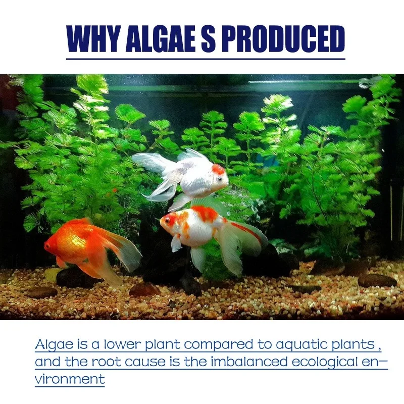 Algaicida de Alta Eficiência 5 - Aquarium Fertilizer avaliação e preço