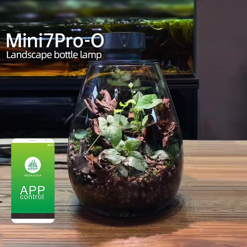 Cob micropaisagem planta luz d - Planted Tank avaliação e preço