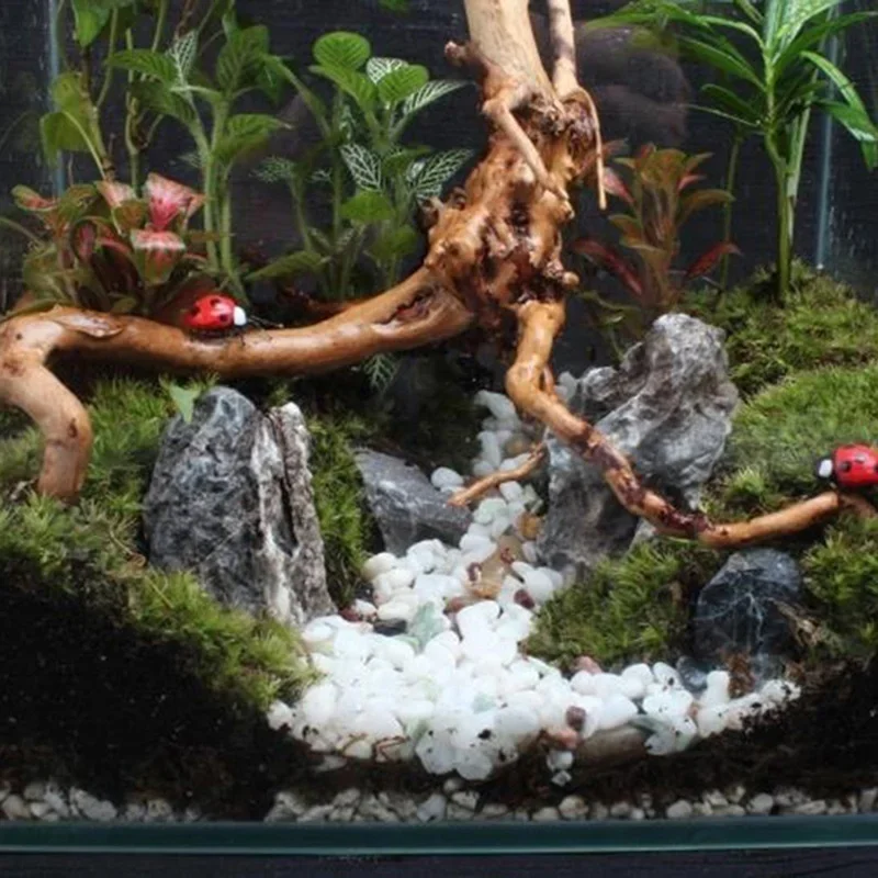 Natural Tree Tronco Driftwood  - Aquarium Plant Substrate avaliação e preço