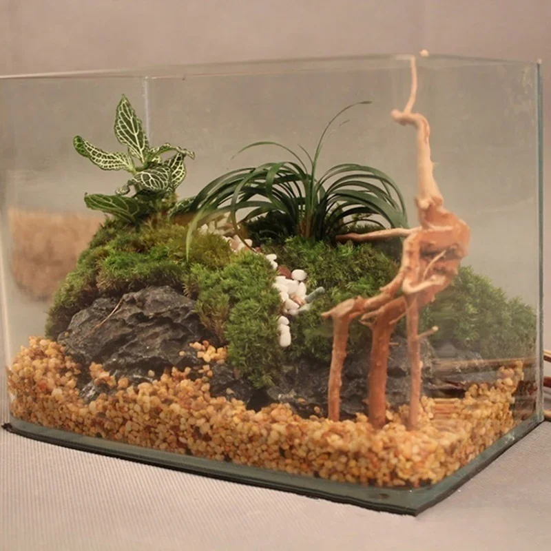 Natural Tree Tronco Driftwood  - Aquarium Plant Substrate avaliação e preço