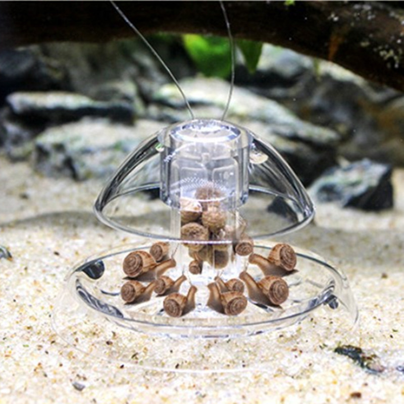 Caracol Armadilha Plástico Aqu - Planted Aquarium Cleaning avaliação e preço