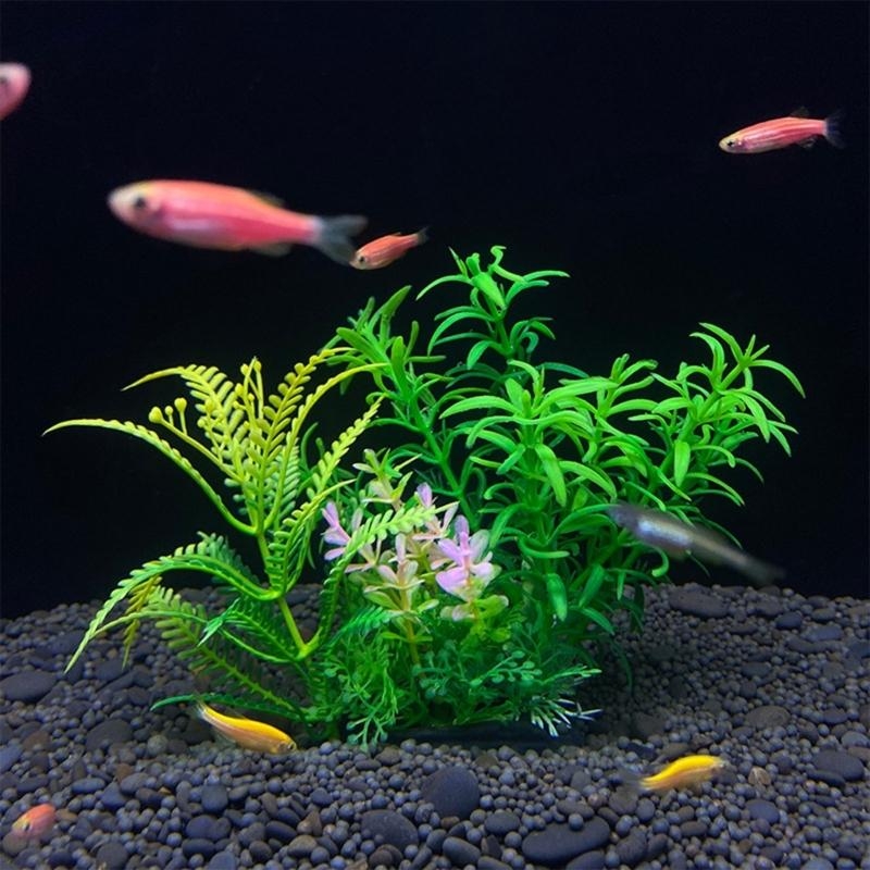 Decoração de aquário artificia - Live Plant Aquarium avaliação e preço