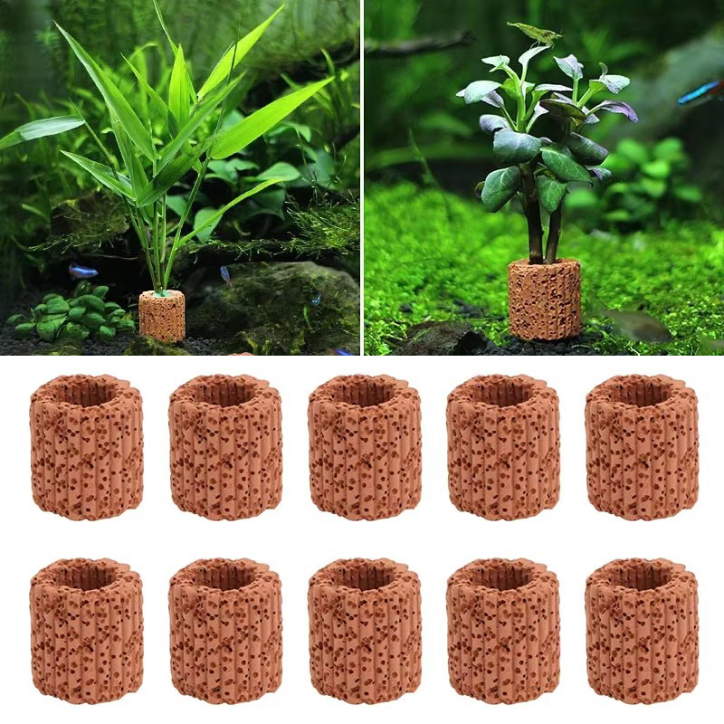 Anel fixo de planta aquática p - Aquarium Plants Live avaliação e preço