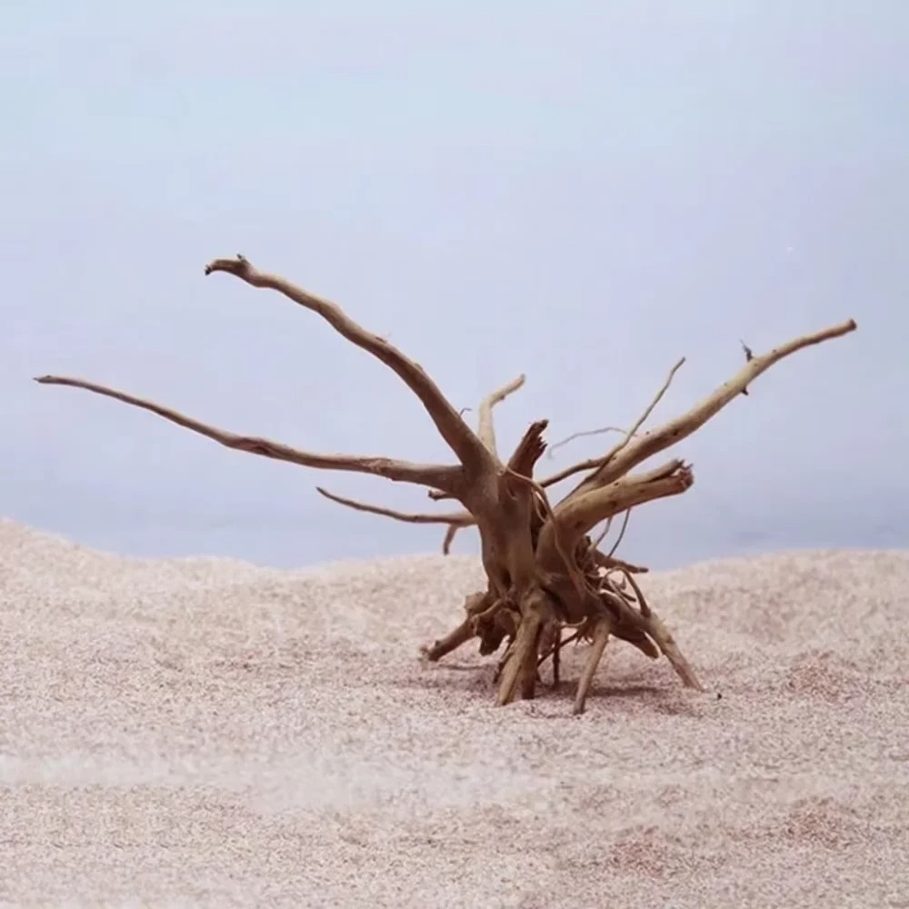 Decoração de Aquário em Madeir - Aquarium Driftwood avaliação e preço
