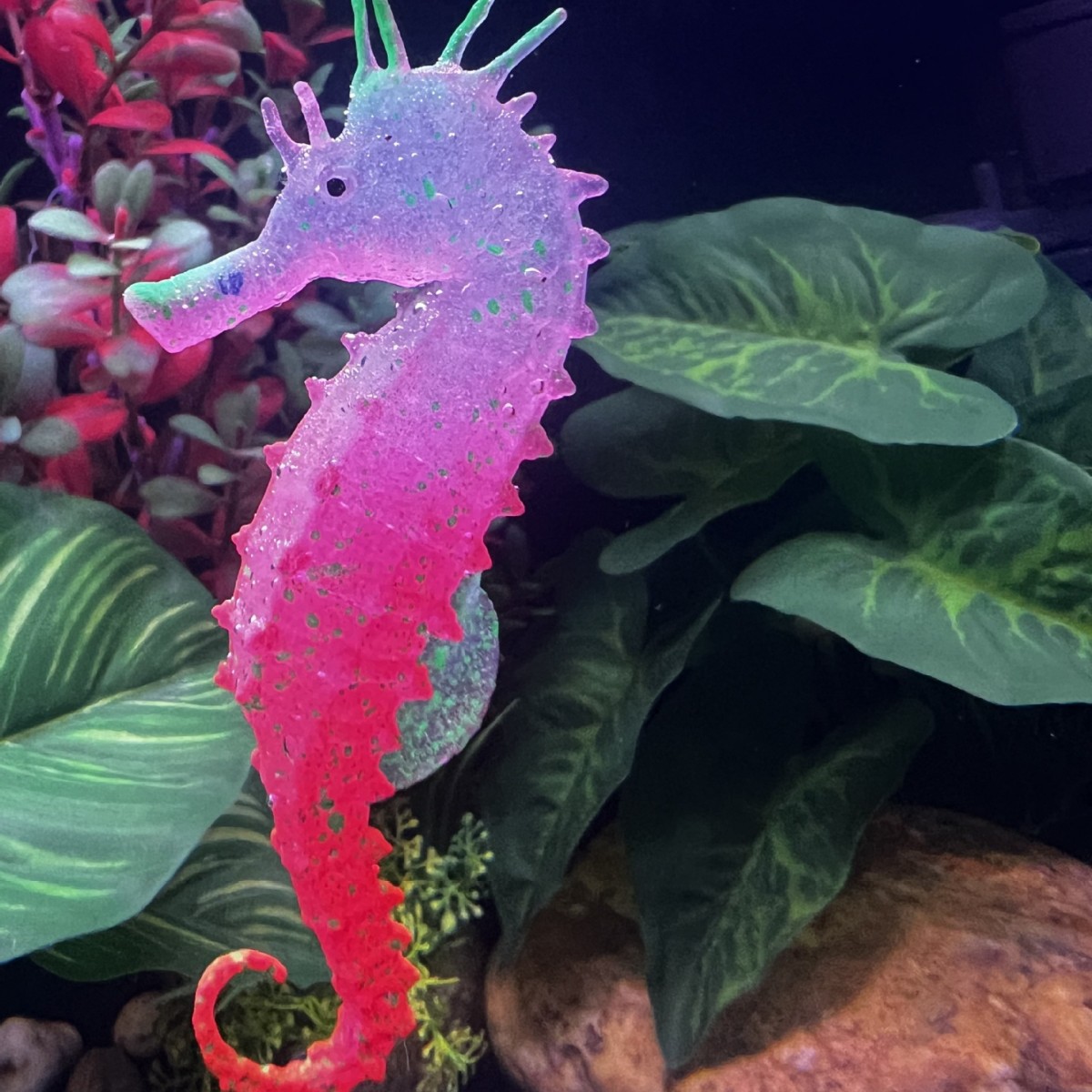 Decoração de Aquário com Caval - Aquarium Plant Substrate avaliação e preço