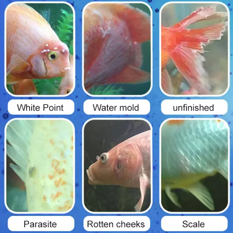 Tratamento de doenças de peixe - Aquarium Liquid Carbon avaliação e preço