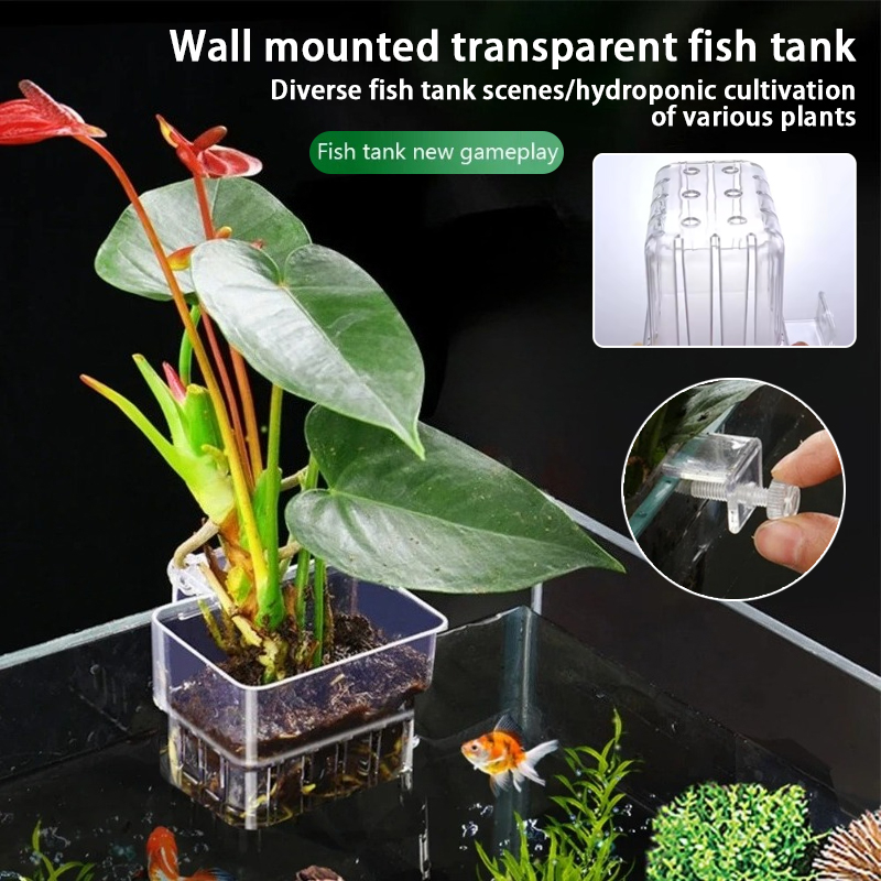 Cestas Suspensas para Aquário, - Plant Aquarium Pot avaliação e preço
