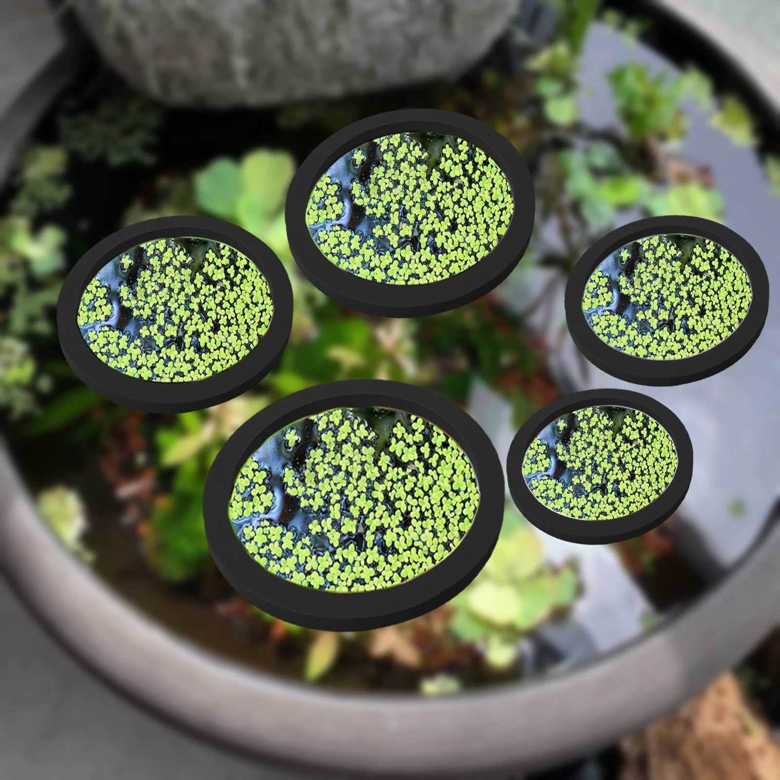 5 pçs eva anel de alimentação  - Planted Tank avaliação e preço