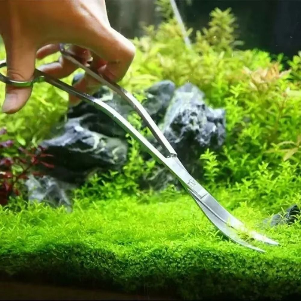 1 Unidade Tesoura de Aço Inoxi - Planted Aquarium Cleaning avaliação e preço