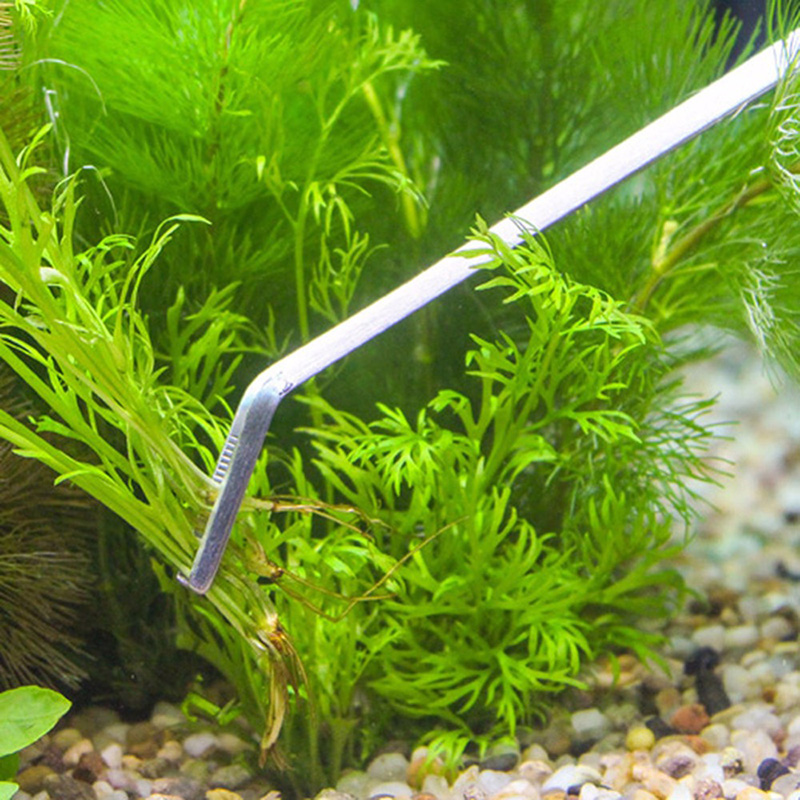 Kit profissional de ferramenta - Aquarium Plants Live avaliação e preço