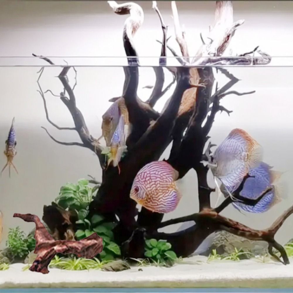 Tronco de Madeira Natural de C - Aquarium Plant Substrate avaliação e preço