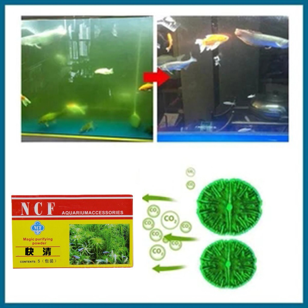 Pó purificador de água para aq - Aquarium Moss avaliação e preço
