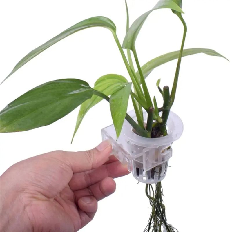 A7THK-2 unidades Suporte Trans - Aquarium Plant Holder avaliação e preço