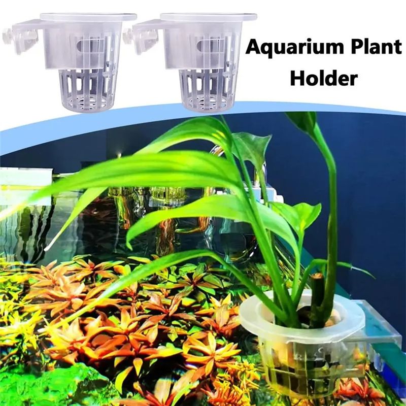 A7THK-2 unidades Suporte Trans - Aquarium Plant Holder avaliação e preço