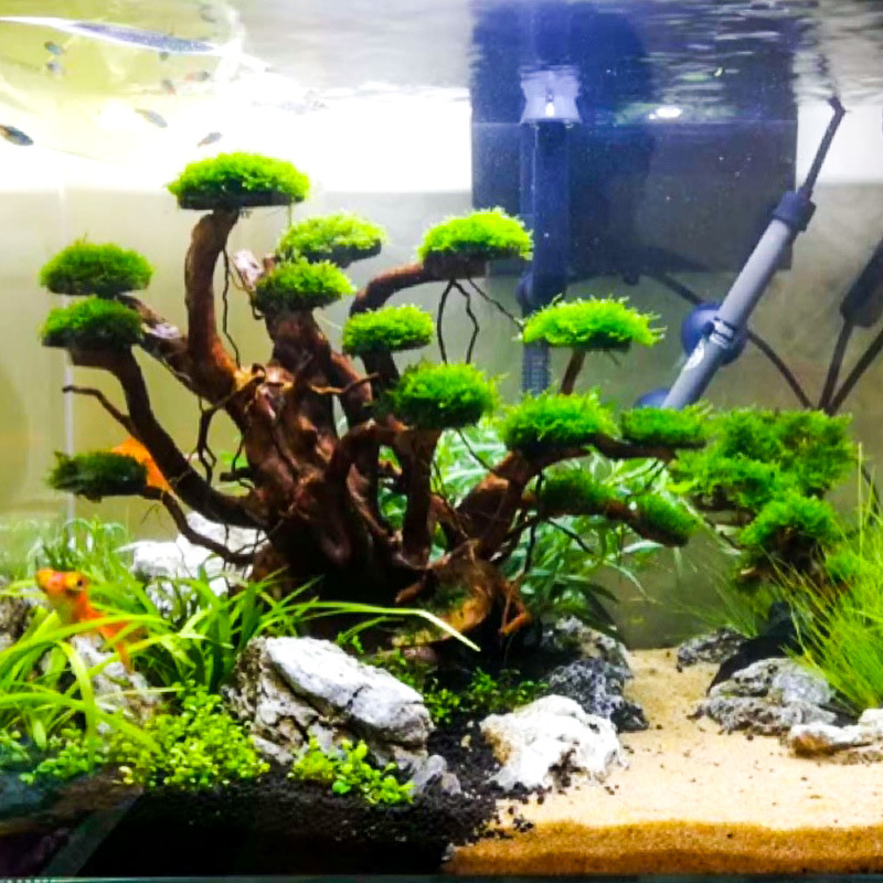 Decoração para Aquário: Orname - Aquarium Plant Substrate avaliação e preço