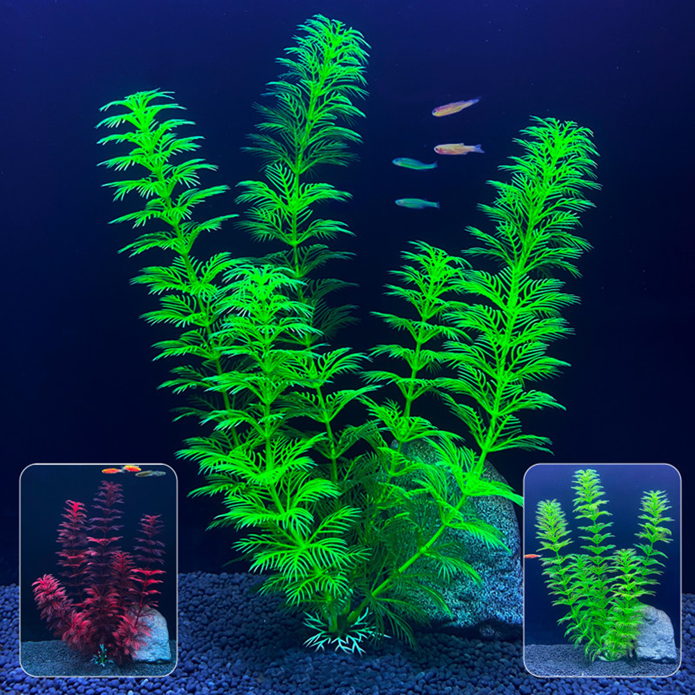 Plantas Artificiais para Aquár - Aquarium Plants Live avaliação e preço