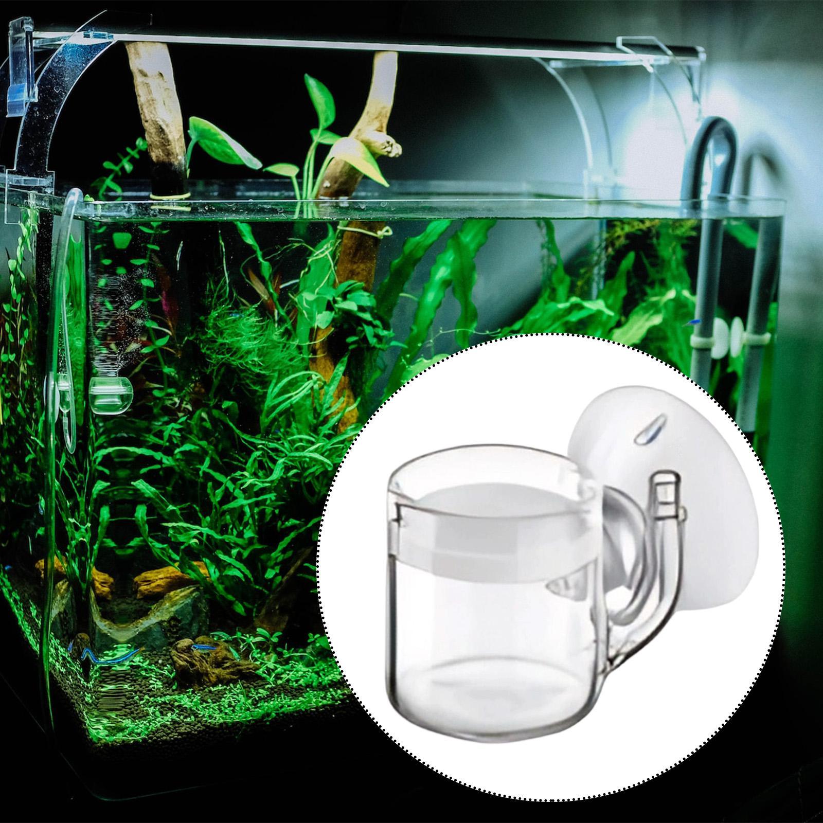 Difusor de CO2 com fundo plano - Planted Aquarium Cleaning avaliação e preço
