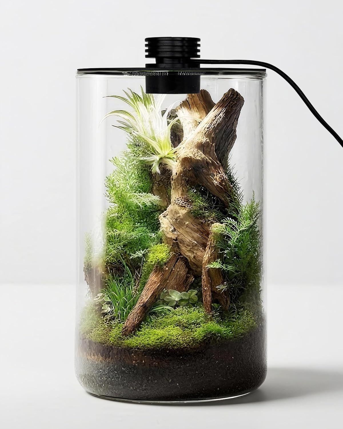 Terrário de Vidro Interno com  - Planted Tank avaliação e preço
