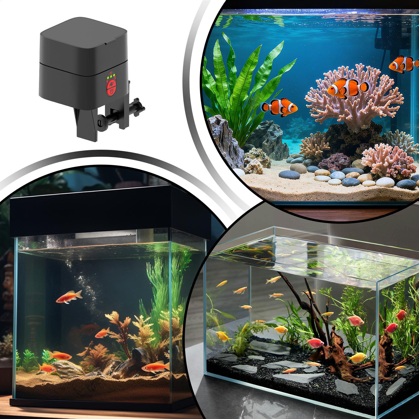 Alimentador automático de peix - Aquarium Fertilizer avaliação e preço