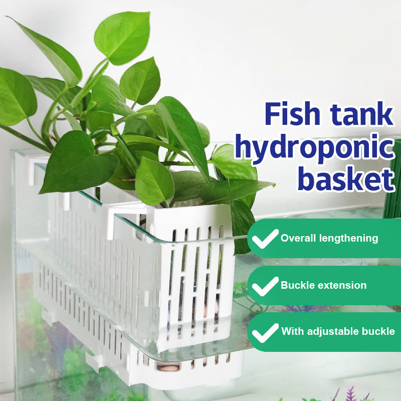 【F】Suporte Suspenso para Plant - Aquarium Plant Substrate avaliação e preço