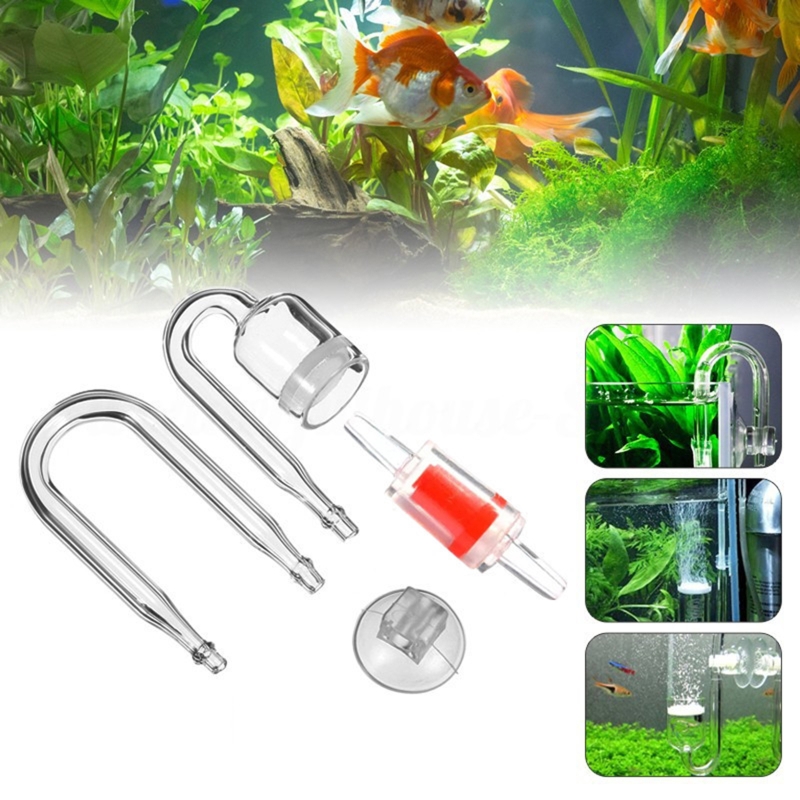 CO2 Difusor para Aquário, DIY  - Aquarium Plants Live avaliação e preço