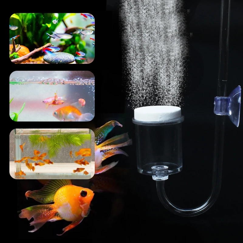 CO2 Difusor para Aquário, DIY  - Aquarium Plants Live avaliação e preço