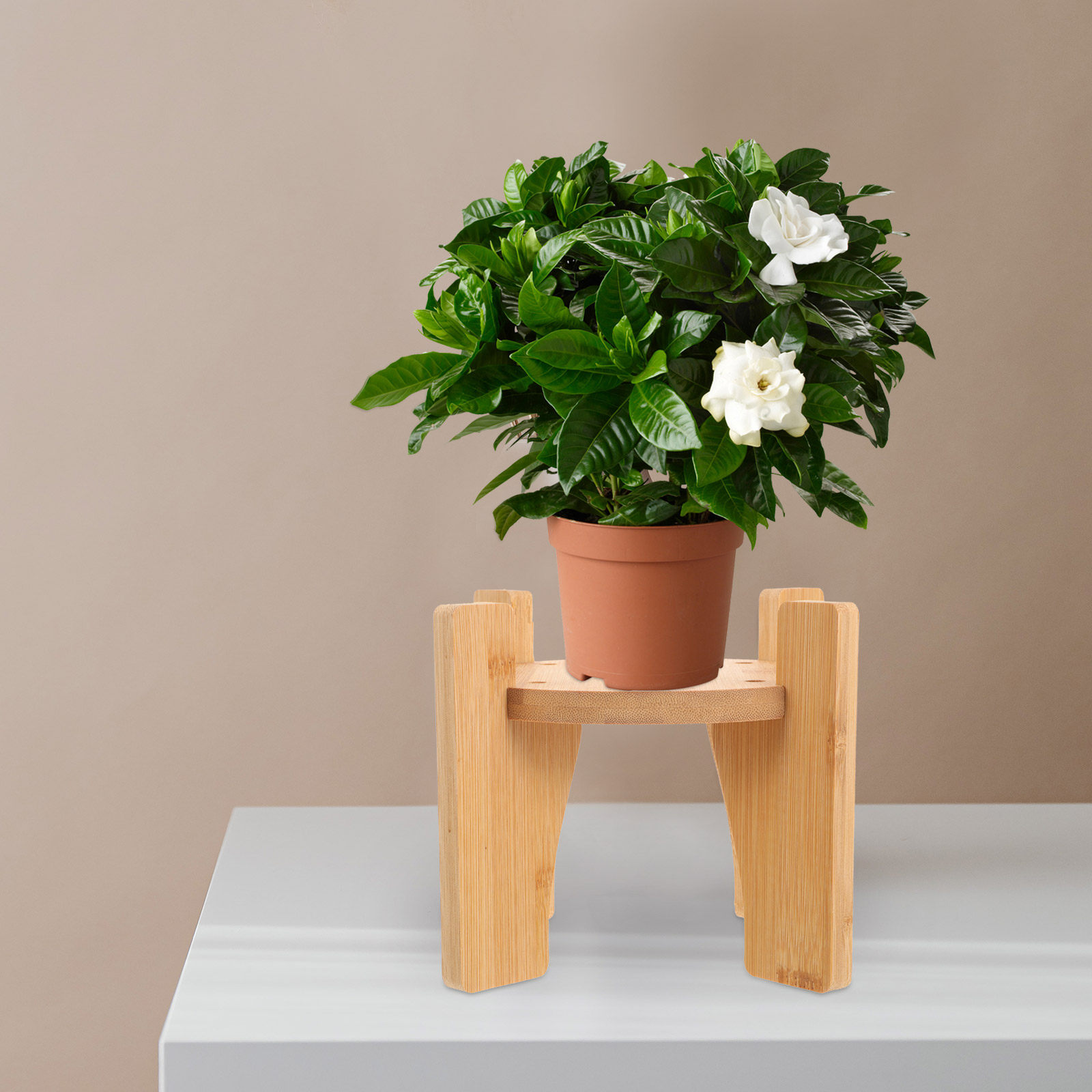 Suporte de madeira para dispen - Planted Tank avaliação e preço